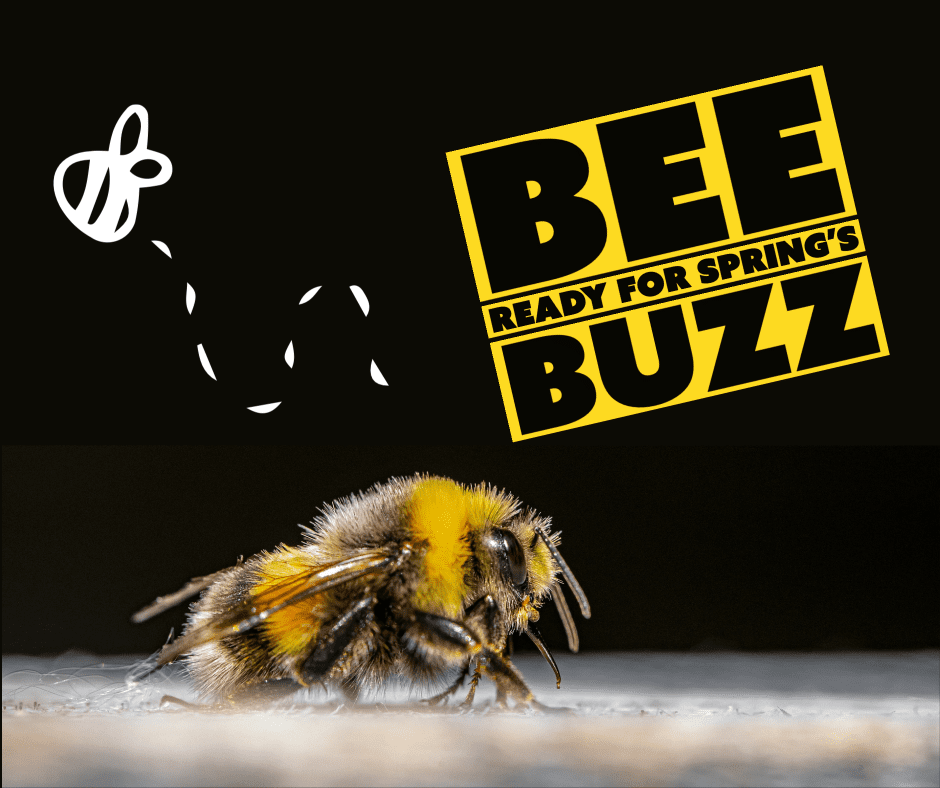 Be Ready For Spring's Buzz